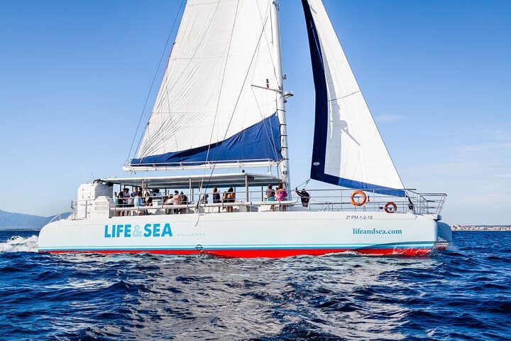 Palma Bay Catamaran Cruise in Mallorca