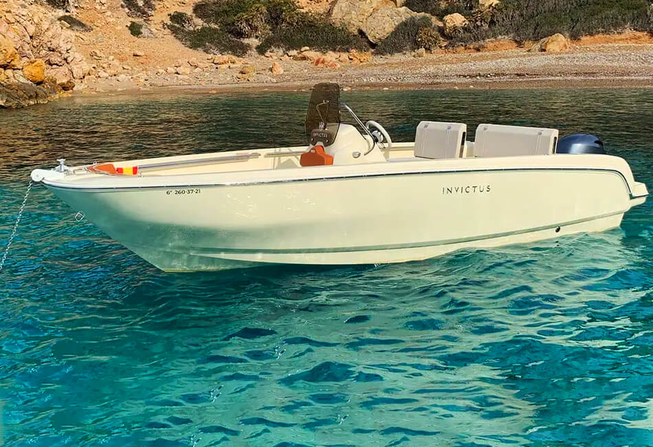 19 Ft Invictus FX 190 Motorboat (with License)