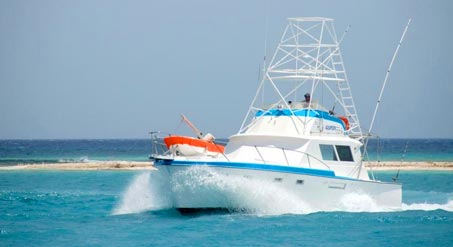 Mallorca Boat, Yacht & Fishing Charters